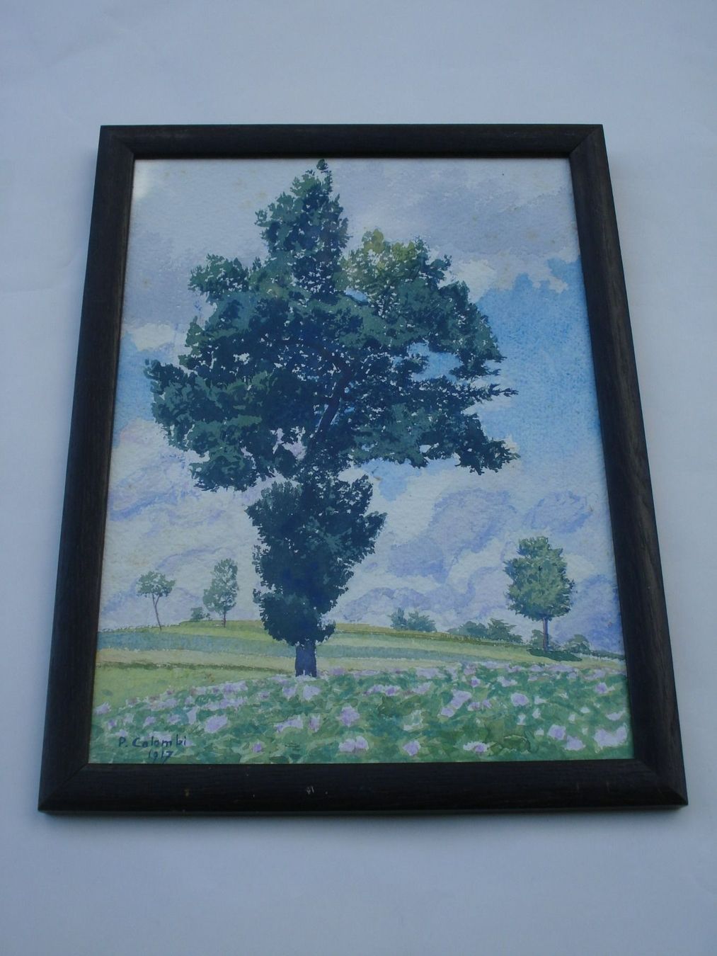 Dipinti: Plinio Colombi 1873-1951 – Usato da Basel venduto da art.basel
