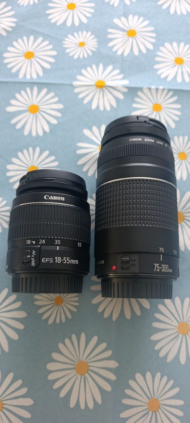 Canon Kamera: Canon EOS 2000D Kit + 2 Objektive + 64GB SD-Karte – Gebraucht aus Susten von Giorgio_Pastore 6