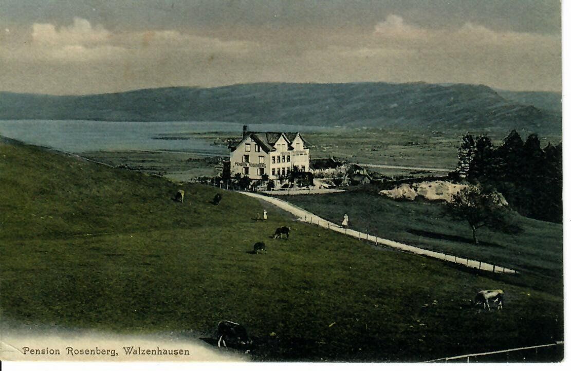 Cartoline postali: Pension Rosenberg Walzenhausen 1908 – Usato da Hochdorf venduto da Ziegel-16