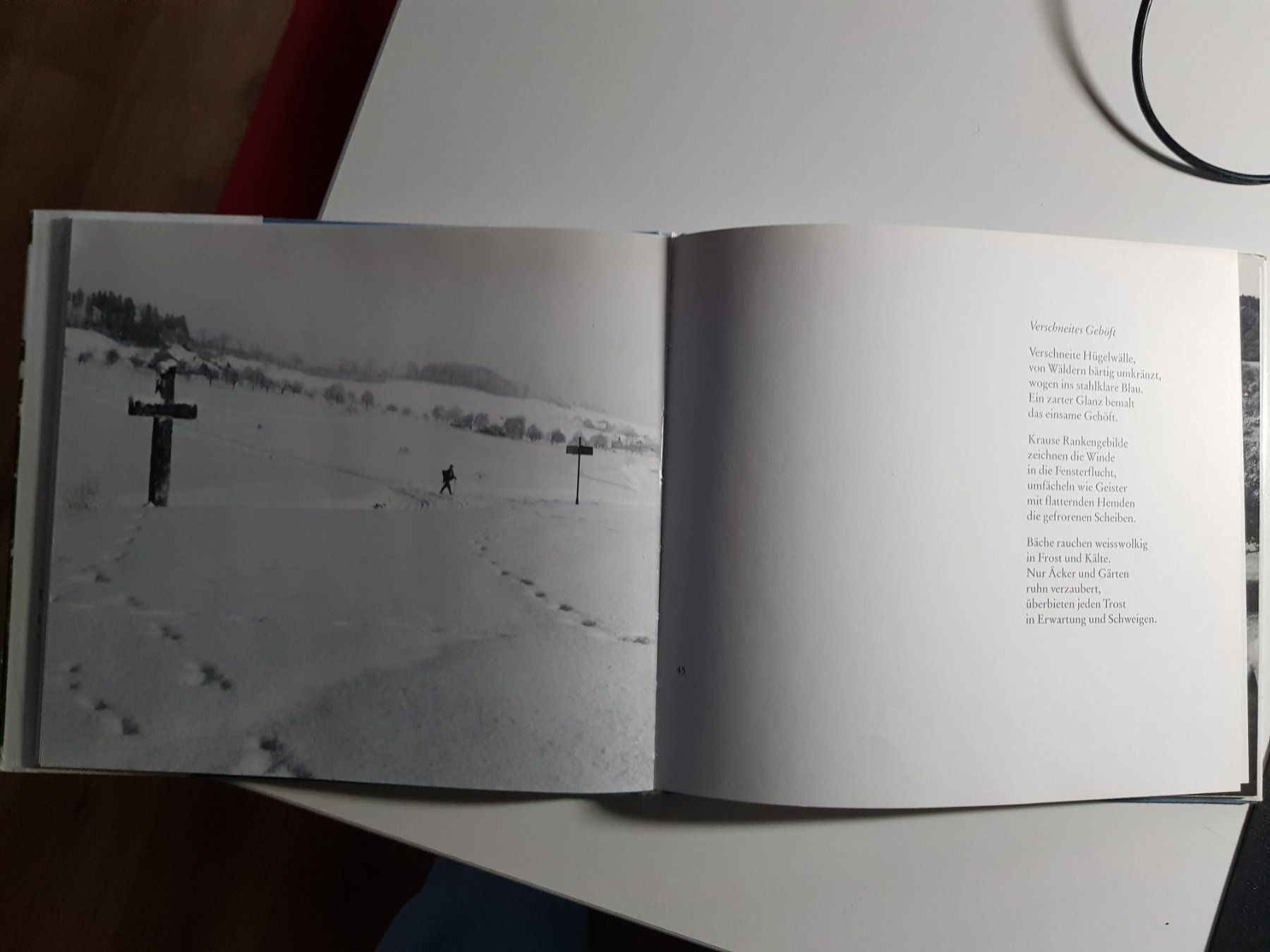 Libri: Buch: Napf Landschaft Bertwin Frey 1989 – Usato da Walterswil BE venduto da Lonitti 4