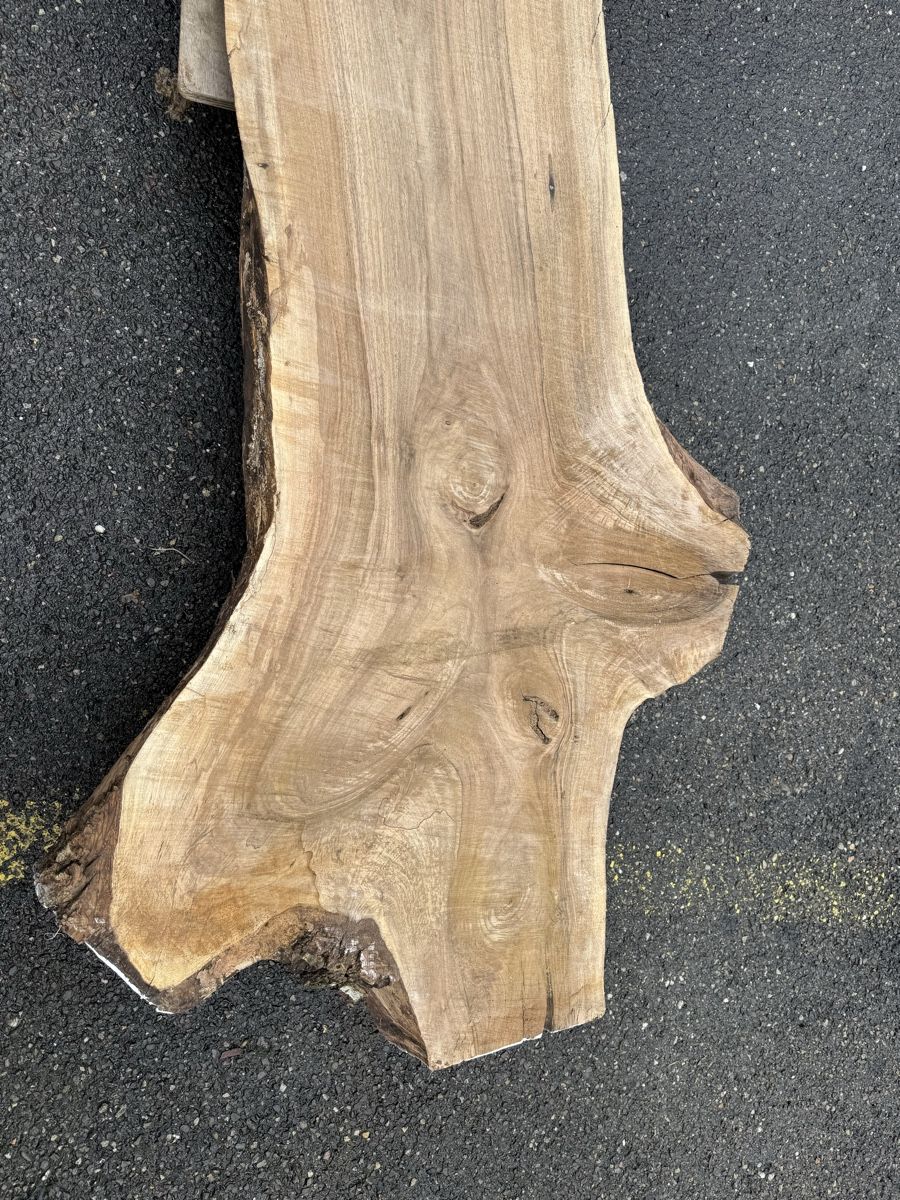 Articoli in legno: Nussbaum Klotzbrett 275  cm lang! – Usato da Gränichen venduto da onkel_xxl 4