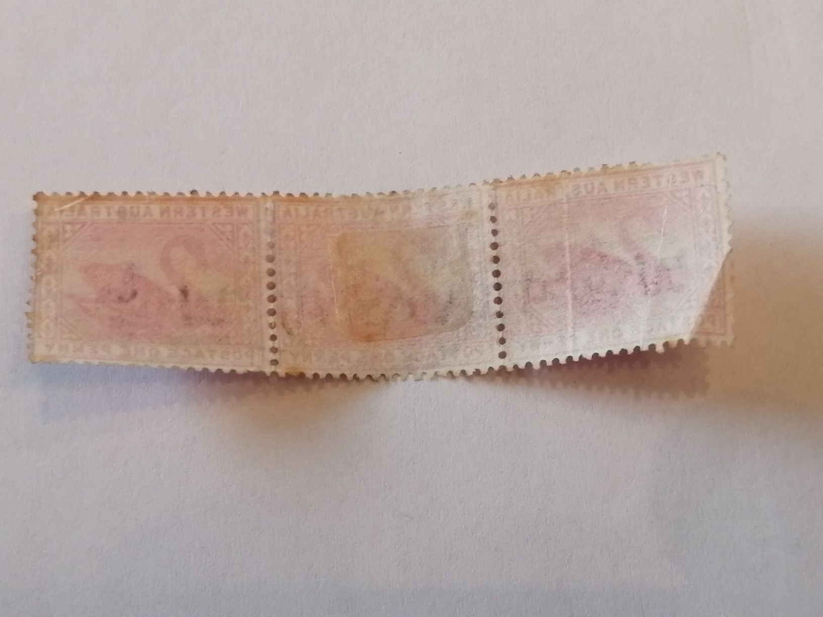 Alle Briefmarken: Western Australia 1902 – Gebraucht aus Happerswil von tschergi 1