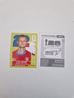 Panini Sticker CZE5