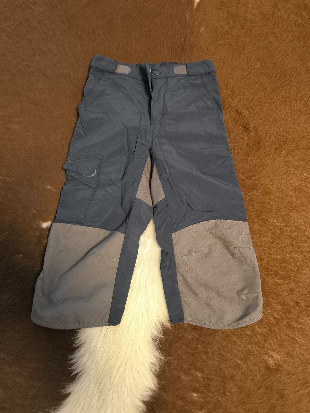Jako-O Pantaloni: Jako-o Shorts Grösse 134 – Nuovo (secondo la descrizione) da Bichwil venduto da Betzgi0