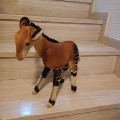Steiff Giocattoli: seltenes grosses Steiff Okapi43 cm um 1960 – Usato da Abtwil SG venduto da luupsy 4