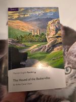 The Hound of the Baskervilles