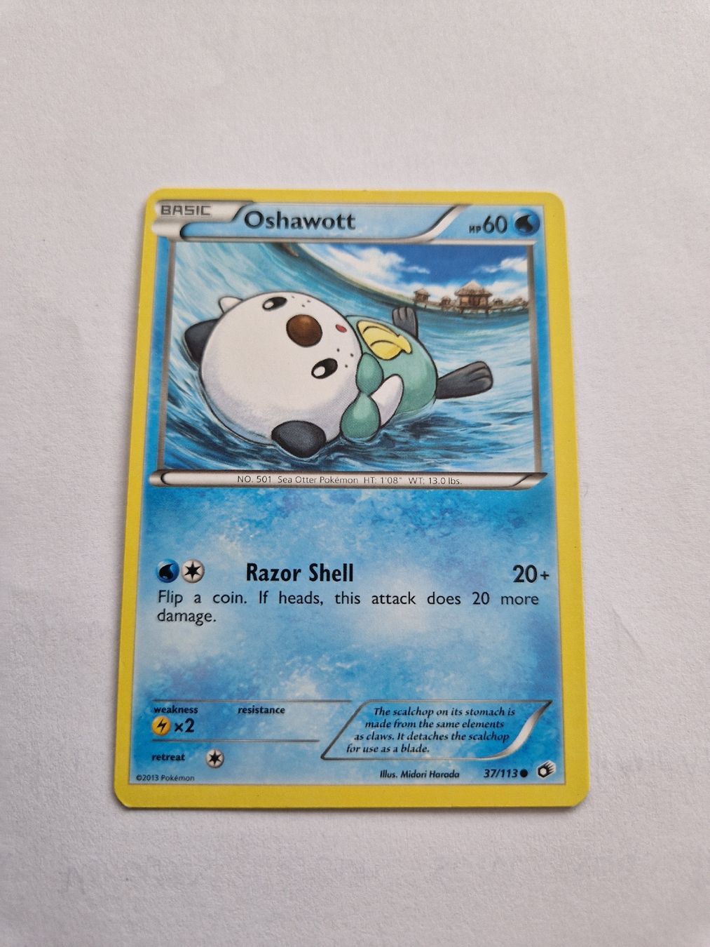 Pokémon Carte collezionabili: Oshawott - Legendary Treasures - EN - Ab 1.- – Usato da Romont FR venduto da raj_sjv9