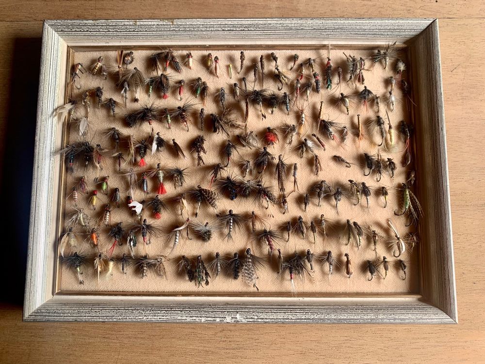 Fliegen Zum Fliegenfischen – 10-teiliges Sortiment Für Barsch & Forelle, Trockene Köder In Verschiedenen Größen