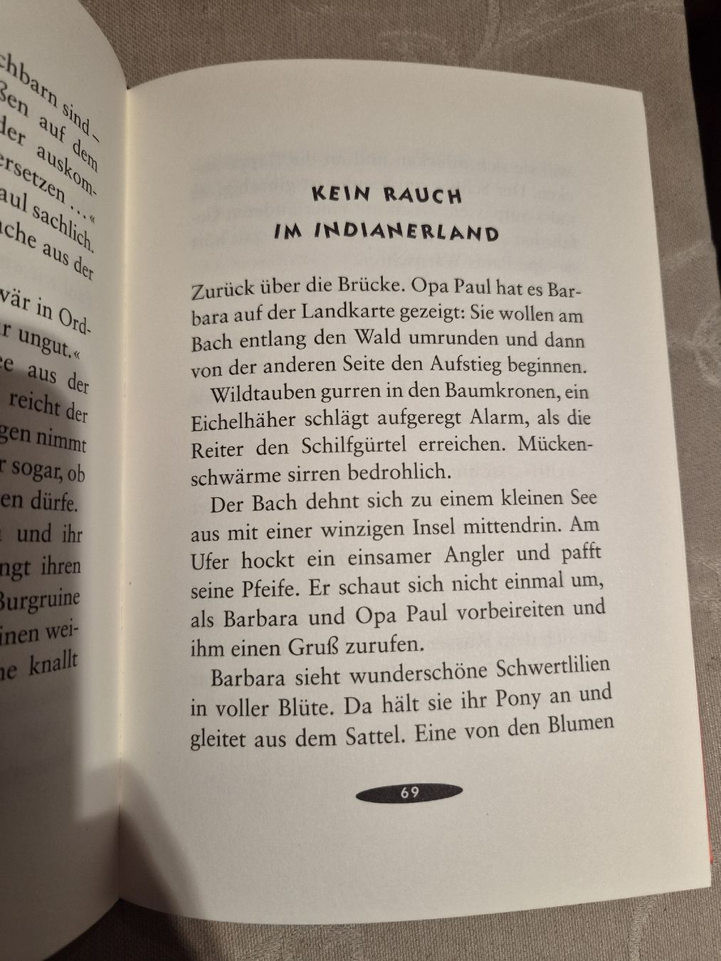 Bücher: Der verrückte Ferienritt – Neu und originalverpackt aus Riedikon von cor_7jcd 3