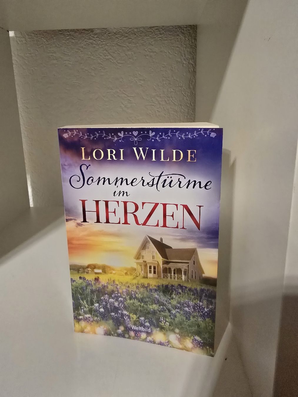 Libri: Sommersemester im Herzen – Nuovo (secondo la descrizione) da Cazis venduto da Hexe_78