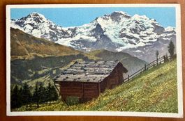 Mönch & Jungfrau - Chalet - AK