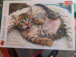 Katzen Puzzle 1000 Teilig NEU 