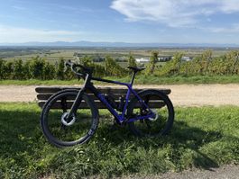 Canyon Grail CF SLX 8 Di2 (Gr. M) Top Zustand! 200km