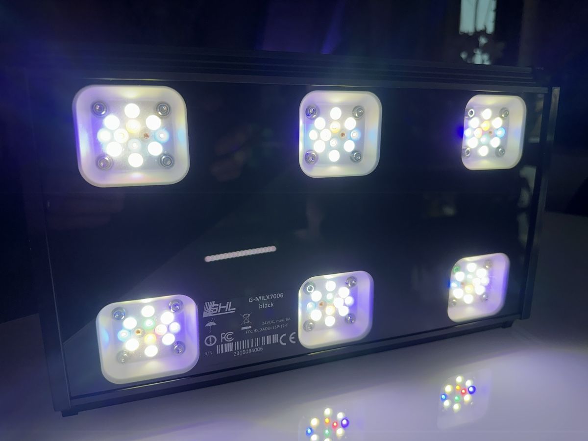 Acquari: GHL LED Mitras LX7 – Usato da Berikon venduto da fischundart 6