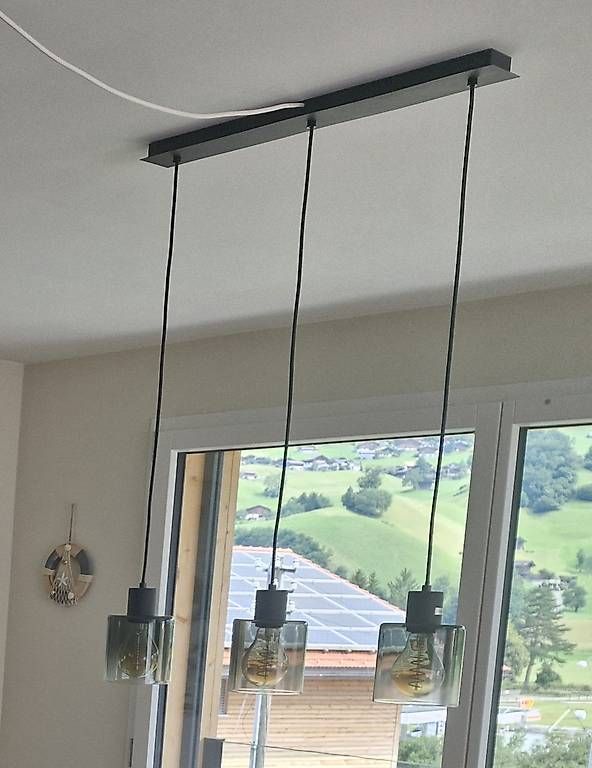 Lampadari & plafoniere: Hängelampe – Usato da Reichenbach i. K. venduto da moser019 2