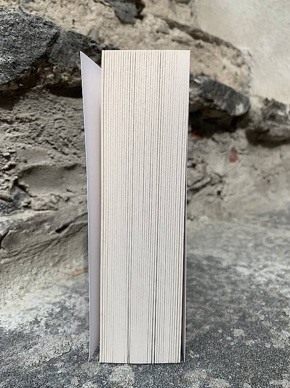 Libri: Ballata dell'usignolo e del serpente, Suzanne Collins – Usato da Roveredo GR venduto da ppe_xcs9 3