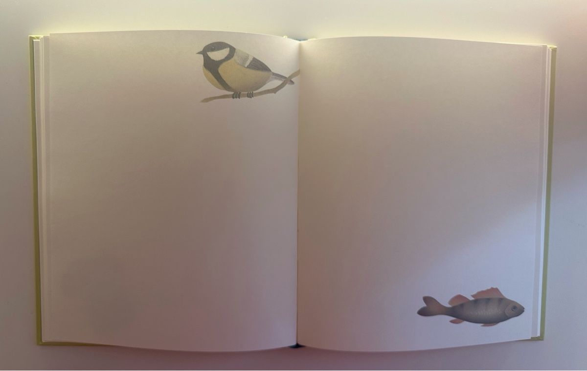 Libri: NEU! GÄSTEBUCH/Notizbuch – Nuovo (secondo la descrizione) da Flawil venduto da mar_9chb 2