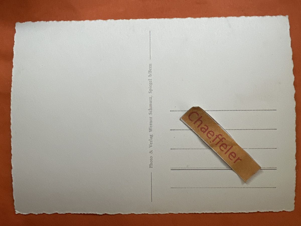 Cartoline postali: 1031 Schloss Oberdiessbach – Usato da Zürich venduto da Chaeffeler 1