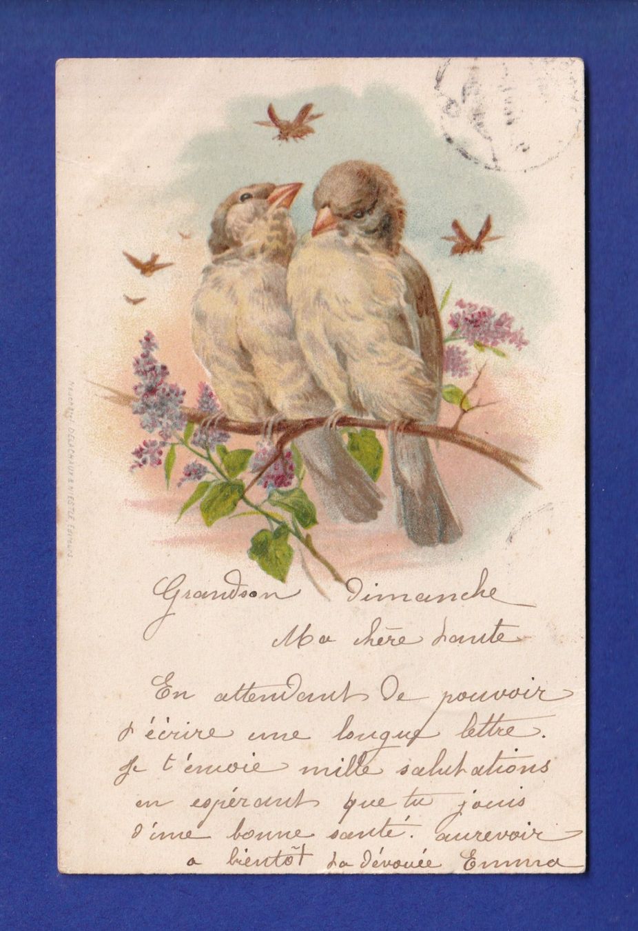 Cartoline postali: OISEAU - Moineau // pli // – Usato da Pully venduto da nicecards-shop