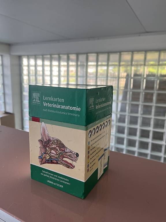 Altro materiale scolastico: Lernkarten-Set Veterinäranatomie – Usato da Bubikon venduto da lua_r9pn