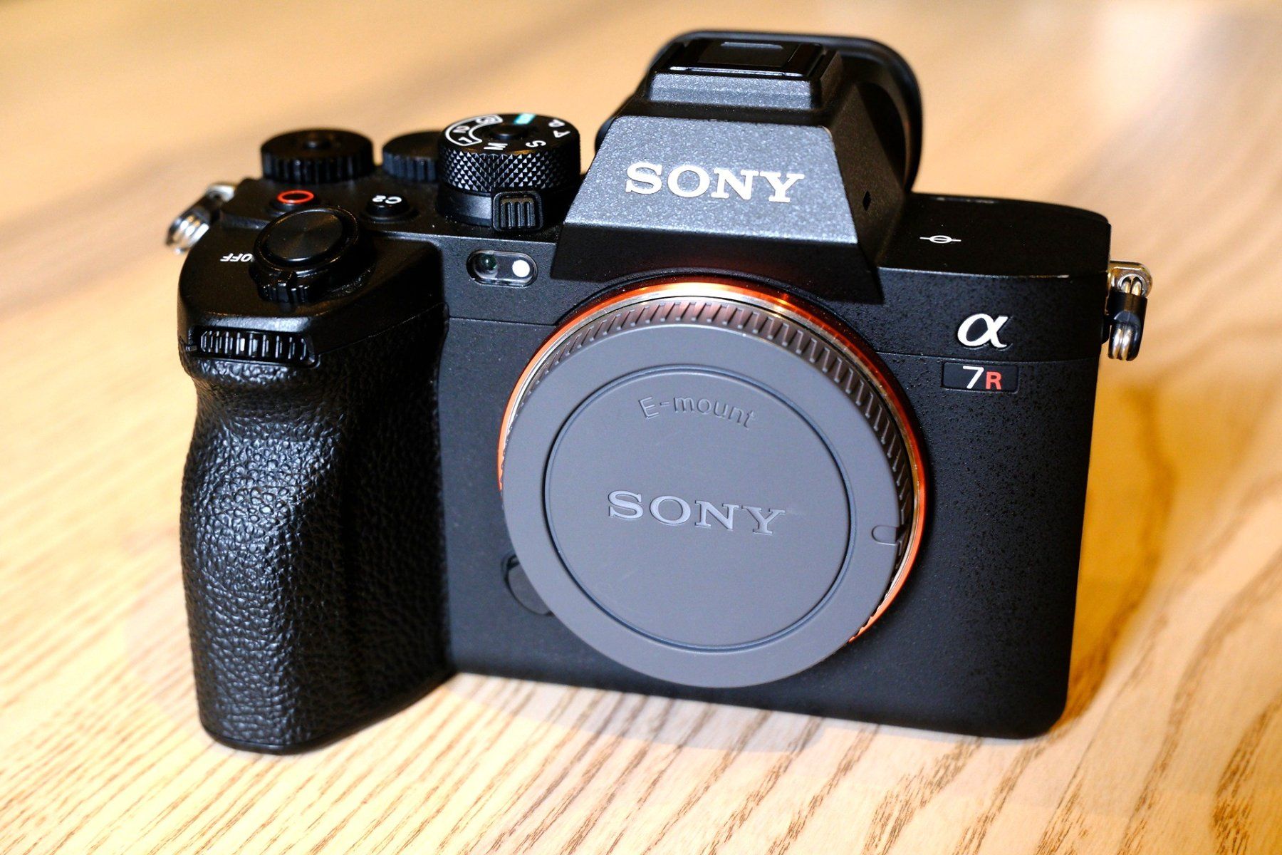 Sony Kamera: Sony A7R V – Gebraucht aus La Neuveville von Bad_turtle