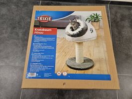 Trixie Katzenbaum Minou