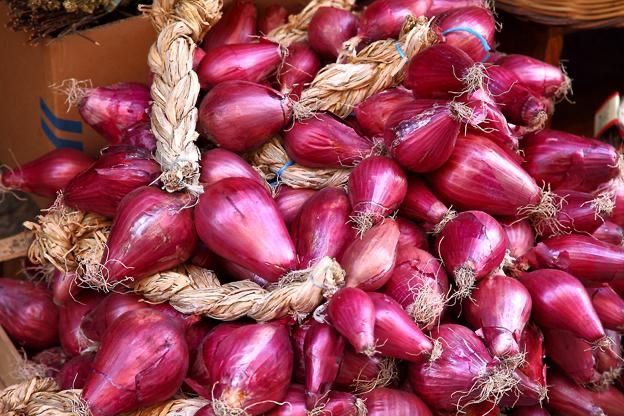 Piante & sementi: 300 Samen Zwiebel TROPEA ROSSA LUNGA – Nuovo (secondo la descrizione) da Ehrendingen venduto da VerveinaSamen