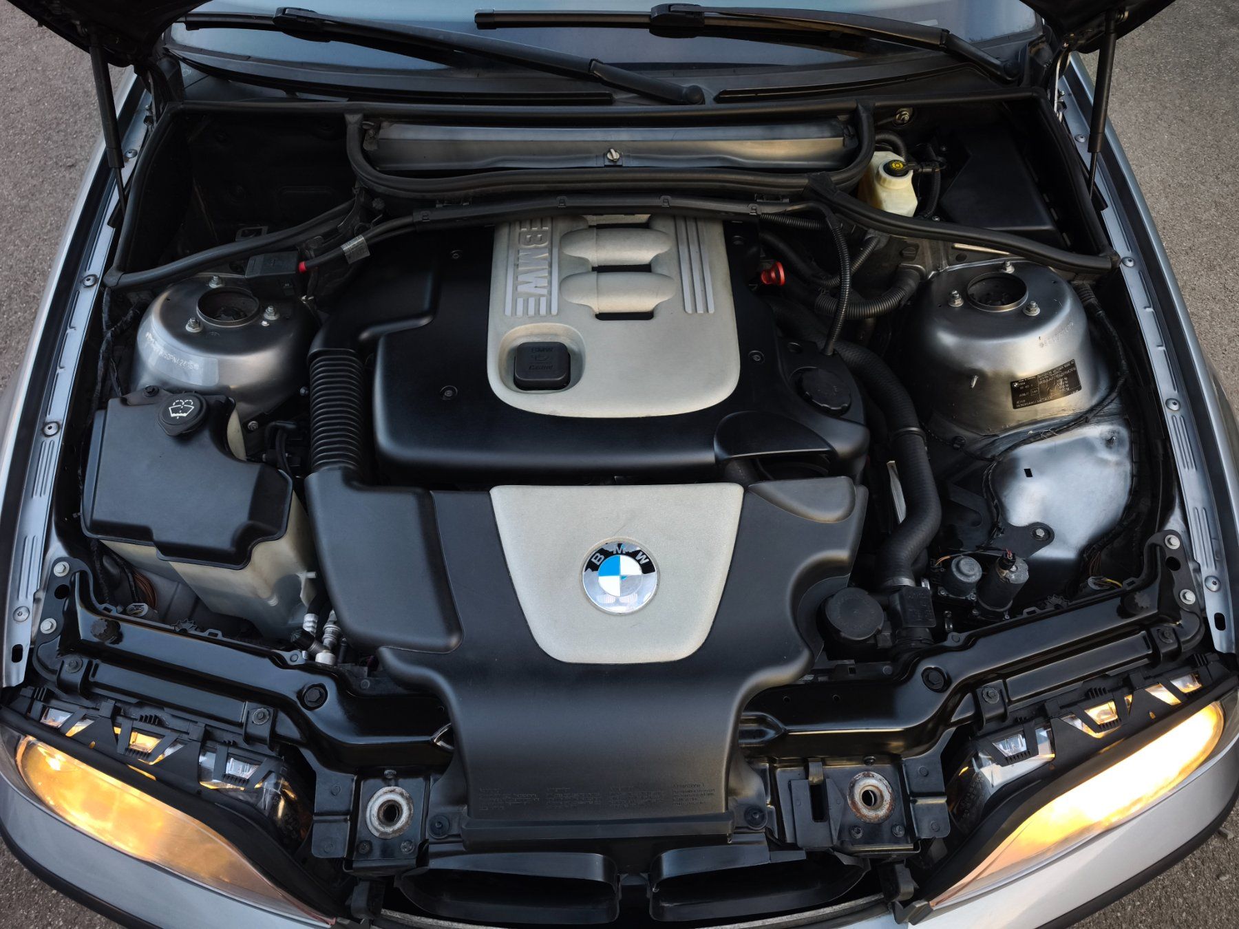 BMW Automobili: BMW e46 320d Automat – Usato da Hinwil venduto da Legion88 6