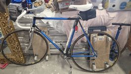 Caminada Vintage Rennvelo – Made in Italy – Zeta Cromotecnic