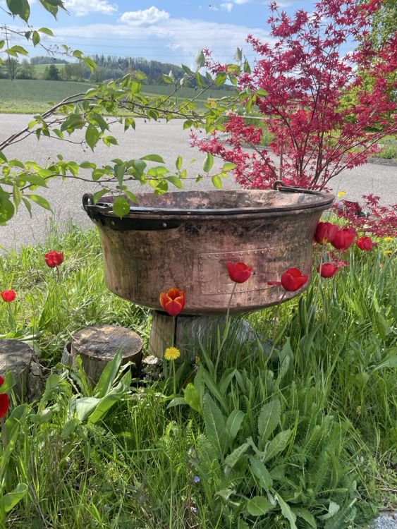 Ensemble De Piquets De Jardin Avec Antenne En Cuivre Pour