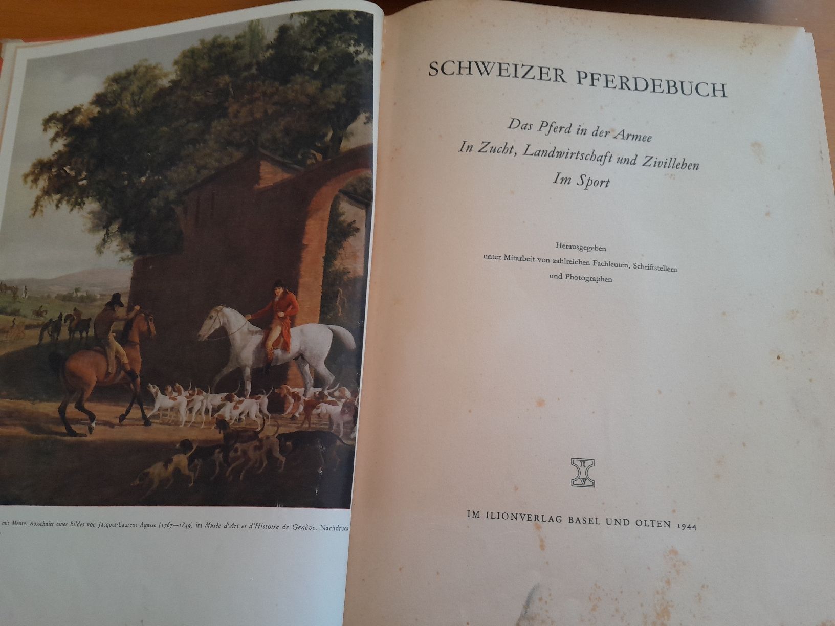 Libri: Buch  schweizer Pferde Buch 1944 – Usato da Oberglatt ZH venduto da juni02 1