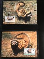 WWF Kasachstan 1997 Tigeriltis Satz Maximumkarten