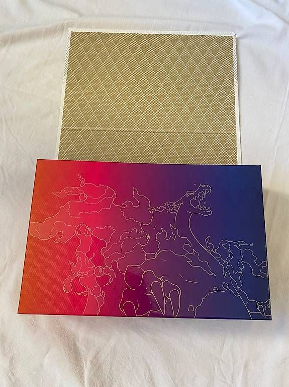 Pokémon Carte collezionabili: Leere Box Schwert und Schild Charizard/Glurak – Usato da Häutligen venduto da Konvolut_Shop_CH 3