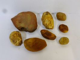 ungeöffnete Knollen EISENSTEIN FOSSIL MAZON CREEK USA