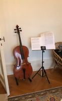 Cello Stentor Elysia 4/4 – Komplettset mit Koffer & Bögen