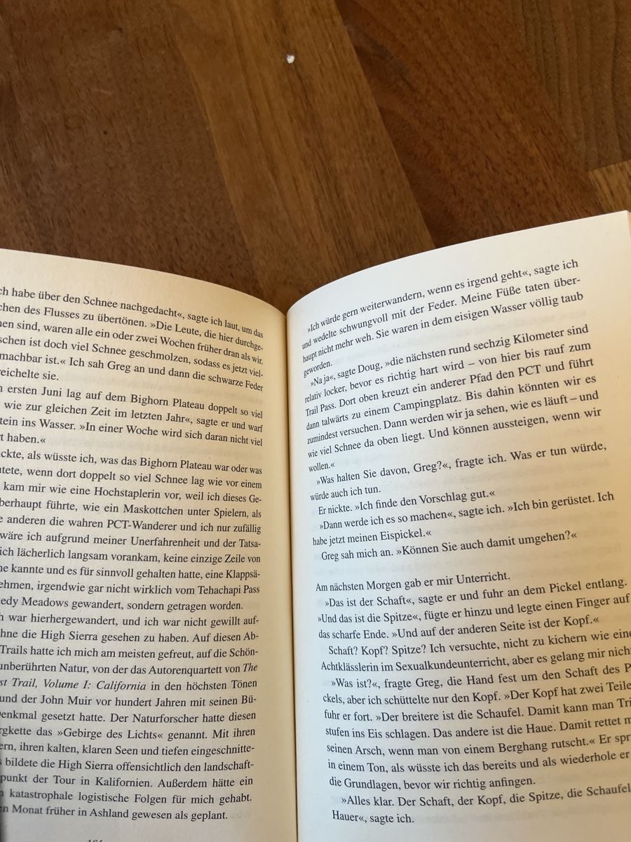 Libri: Buch Der grosse Trip - Wild Cheryl Strayed – Usato da Andelfingen venduto da estark 3