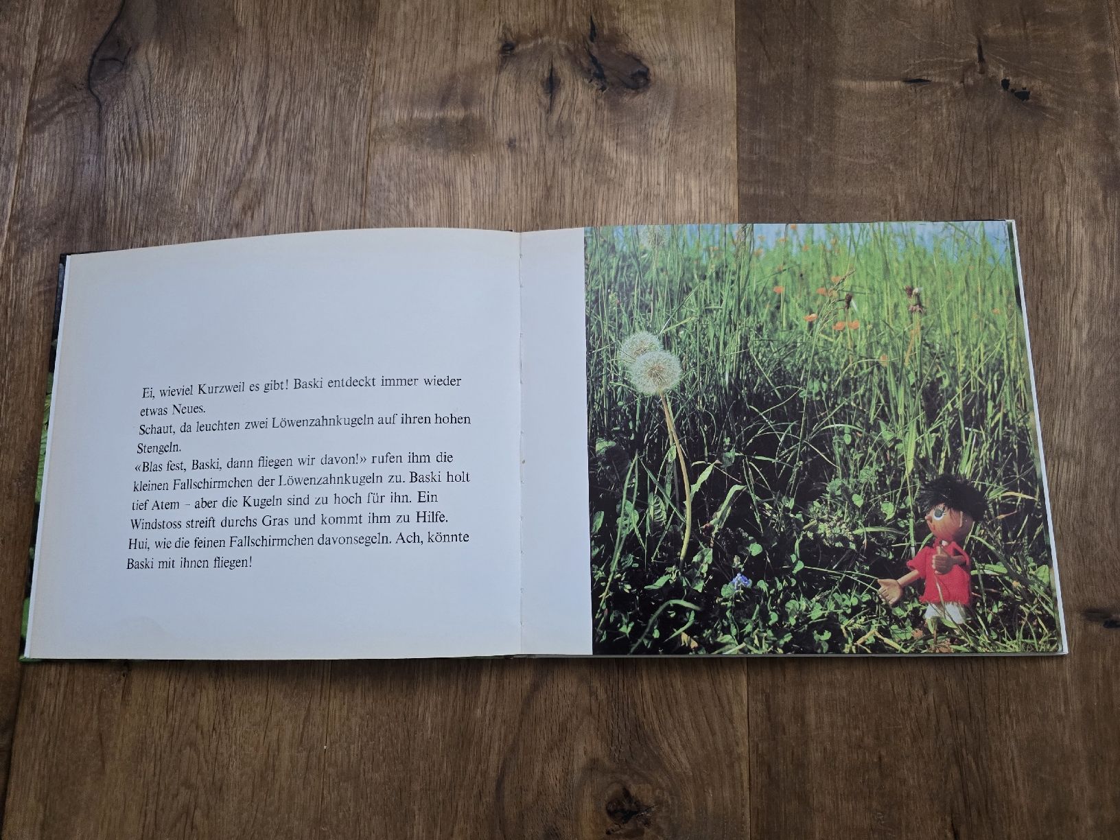 Libri: buch baski – Usato da Wittenbach venduto da Tigerlili 8