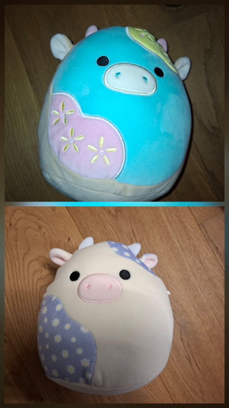 Squishmallows Jouets: 2x Squishmallow 20cm – D'occasion à Mels par Aloha86