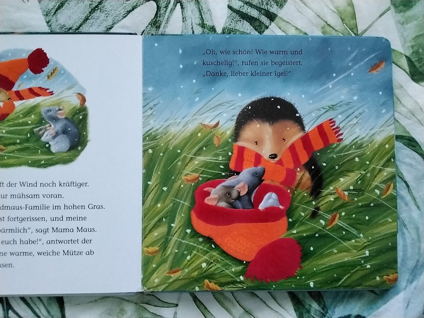 Libri: Der kleine Igel und das grosse Geschenk – Usato da Balterswil venduto da Meerdeern 1