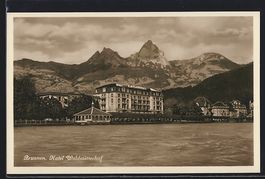 Brunnen, Hotel Waldstätterhof vor Bergp