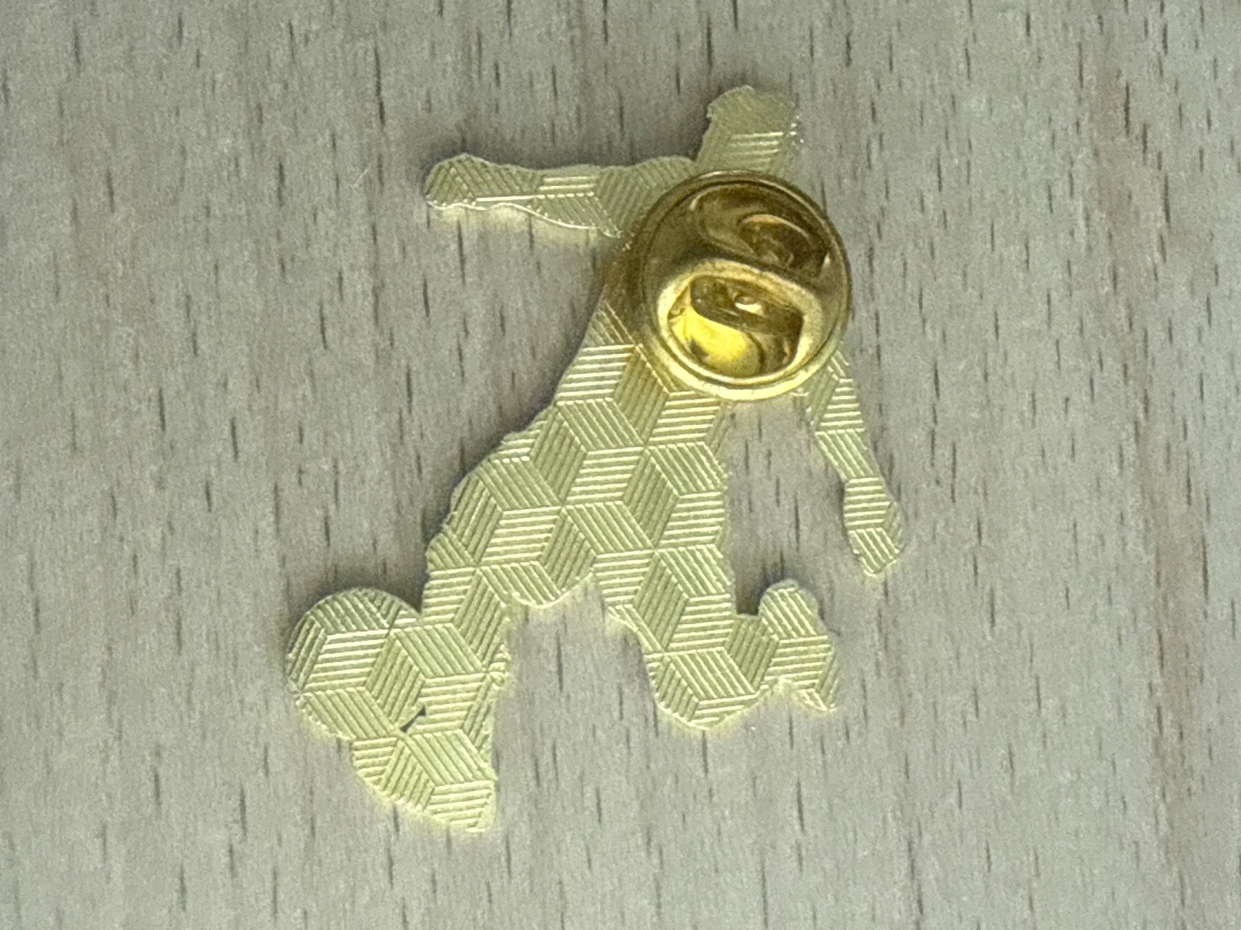 Plaquettes & Badges: Pin Messi – D'occasion à Glattbrugg par Schweigmatt 1