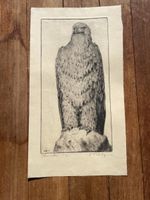 Martin Erich Philipp Steinadler - 5/20 - 1923