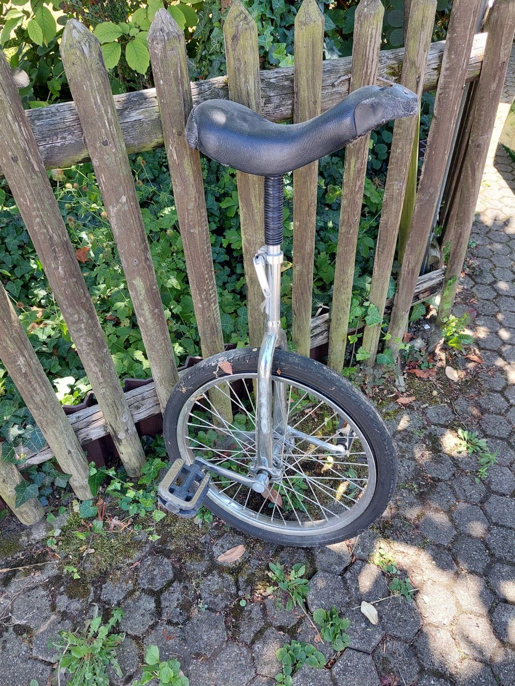 Biciclette: Cooles Einrad von Cyco – Usato da Muttenz venduto da bea_mmf9 1