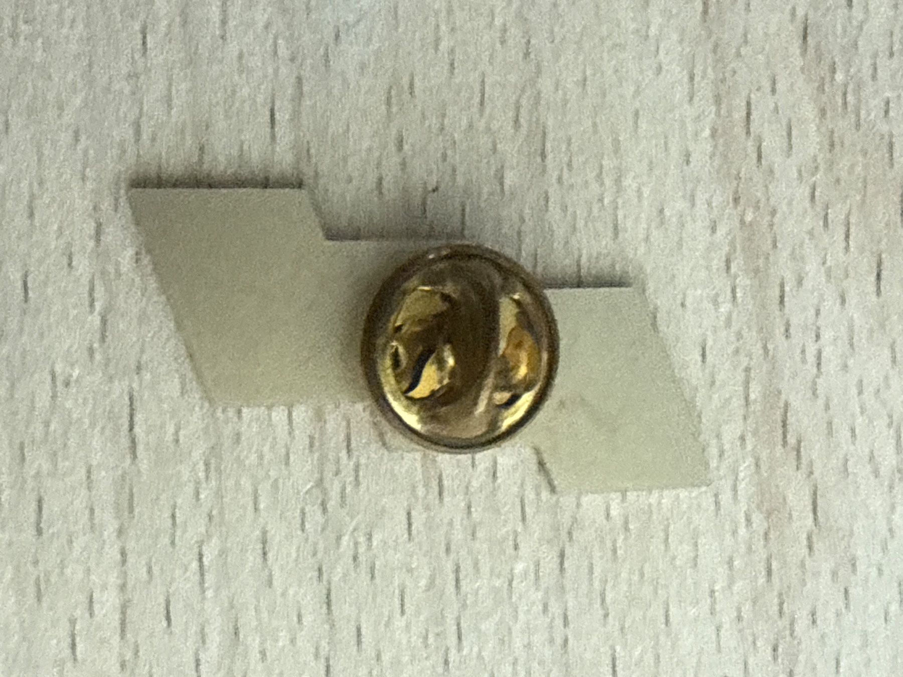 Plaquettes & Badges: Pin Schweiz - Aargau – D'occasion à Glattbrugg par Schweigmatt 1