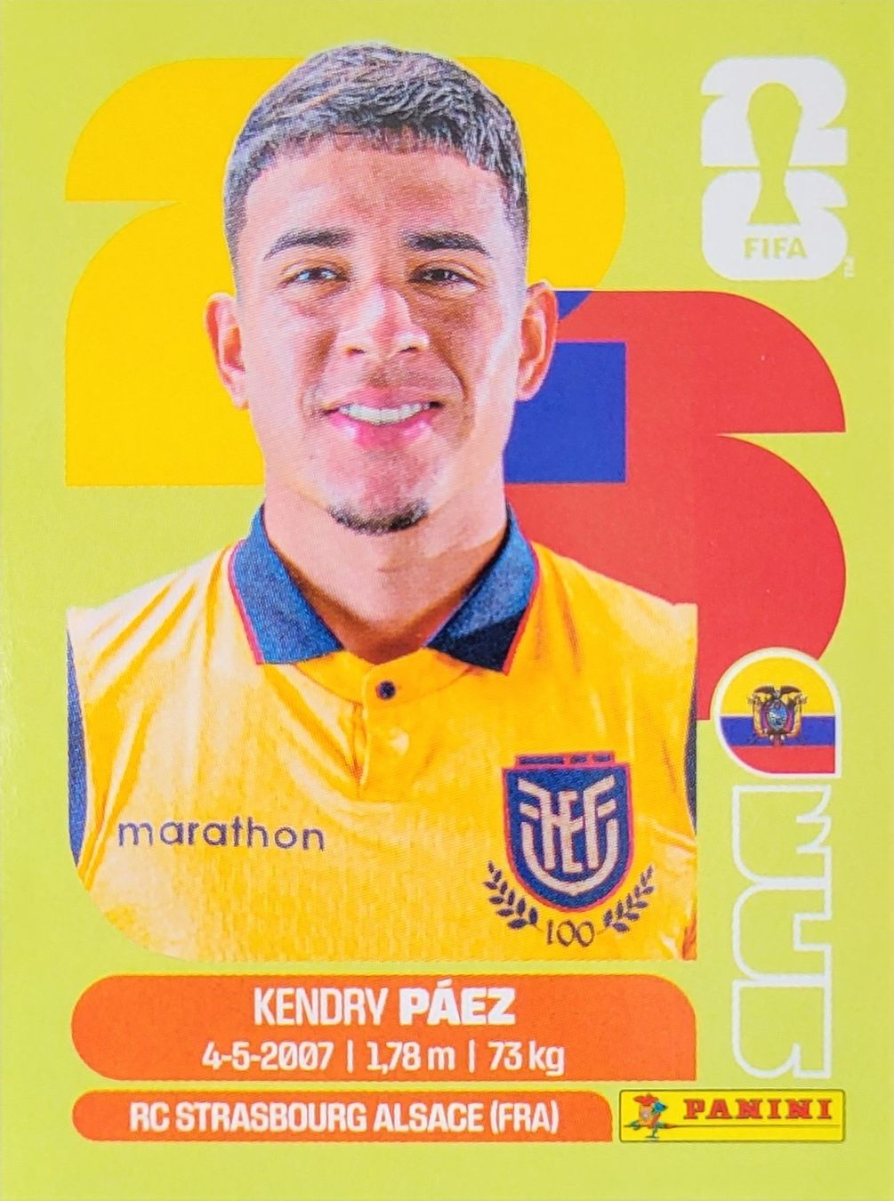 Panini Carte collezionabili: Panini FIFA World Cup ECU 11 – Nuovo (secondo la descrizione) da Wallisellen venduto da never_give_up