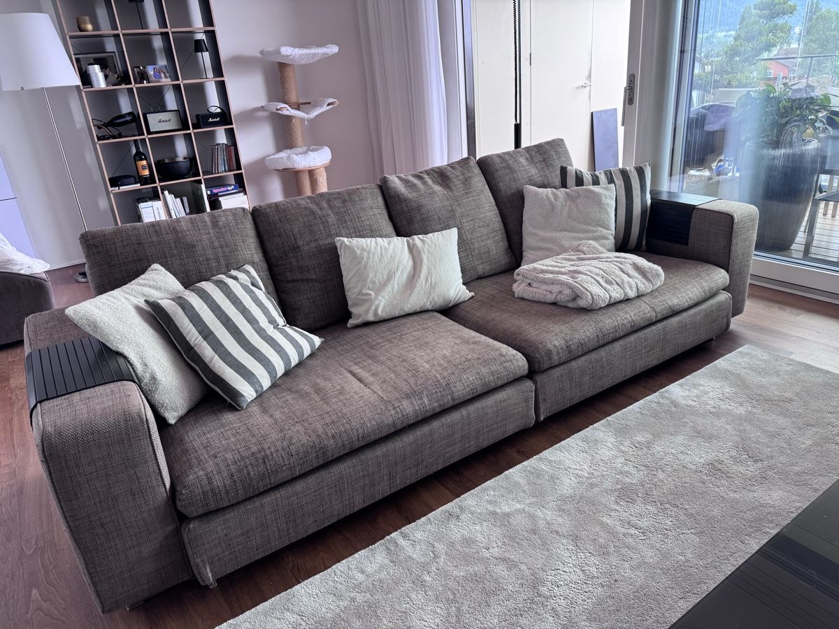 Molteni Sofas: Molteni Sofa – Gebraucht aus Zug von Sostratos66 3