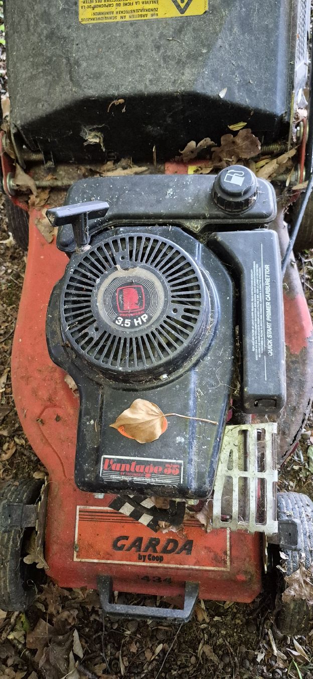Motoren: Rasenmähermotor – Defekt aus Ebnat-Kappel von playade 1