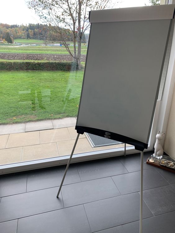 Flip chart Kaufen auf Ricardo