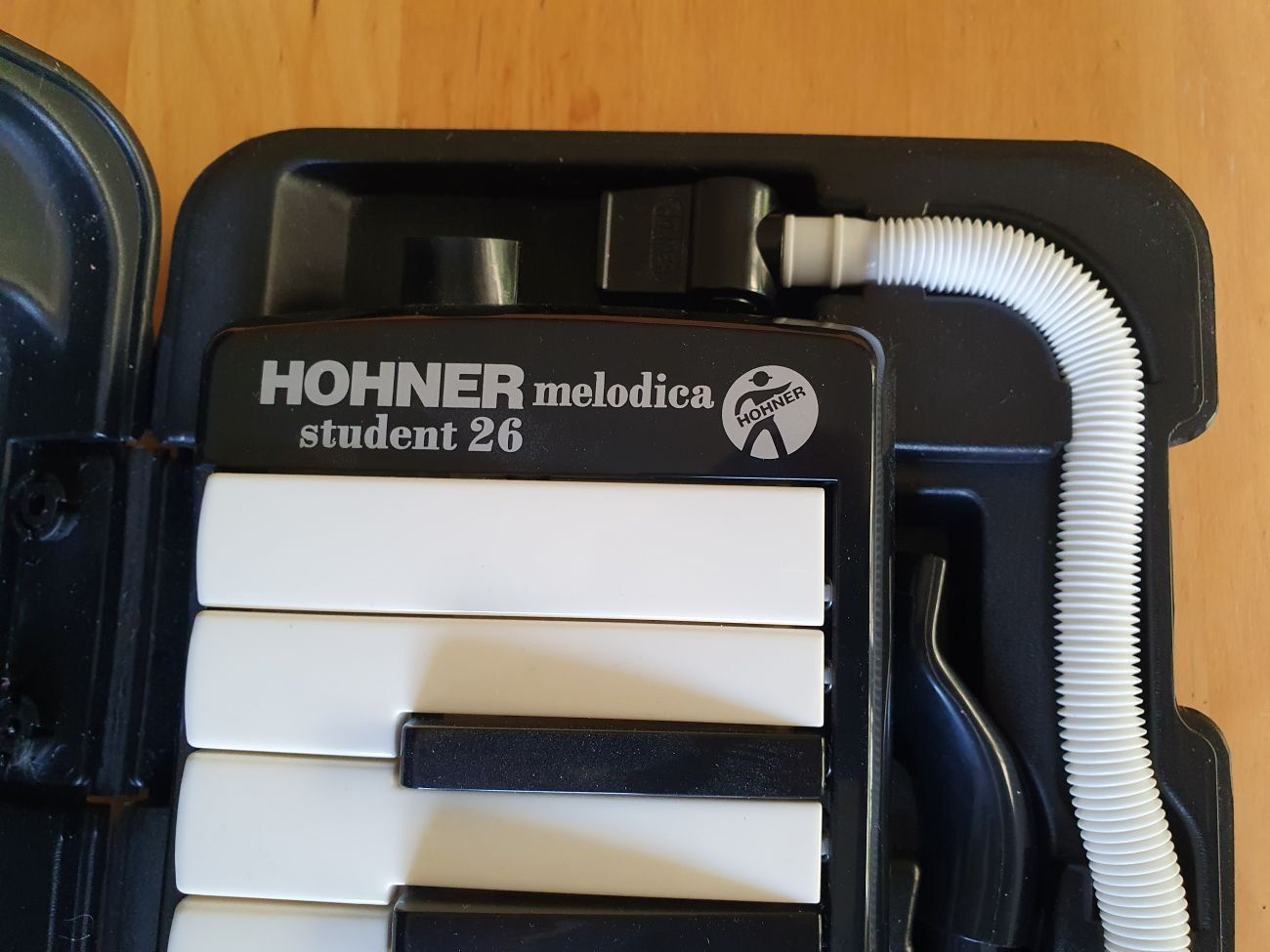 Hohner Instruments de musique: Hohner Melodica Student 26 – Neuf (Voir description) à Steffisburg par chloeisli 1