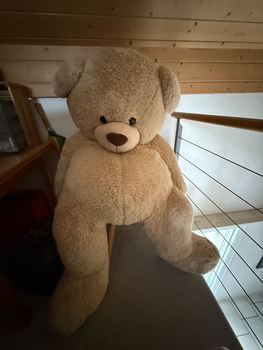 Migros Jouets: Teddybär Plüschtier 1.50 Meter gross beige  – D'occasion à Langenthal par Carmenweberr